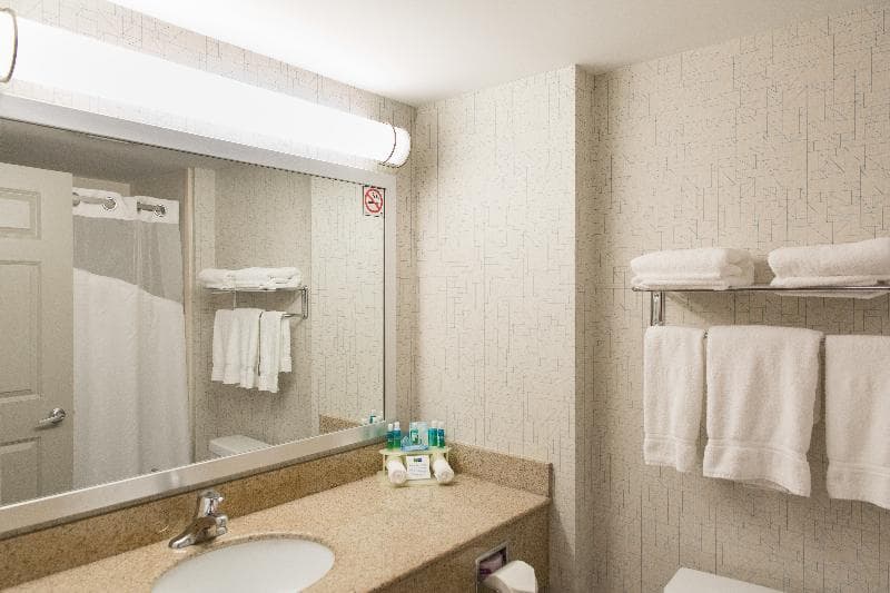 Holiday Inn Express & Suites Brampton 5