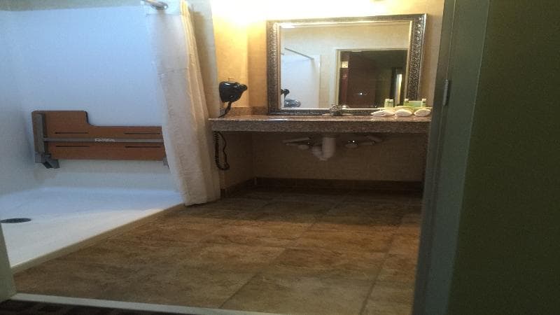 Holiday Inn Express Mccomb 5