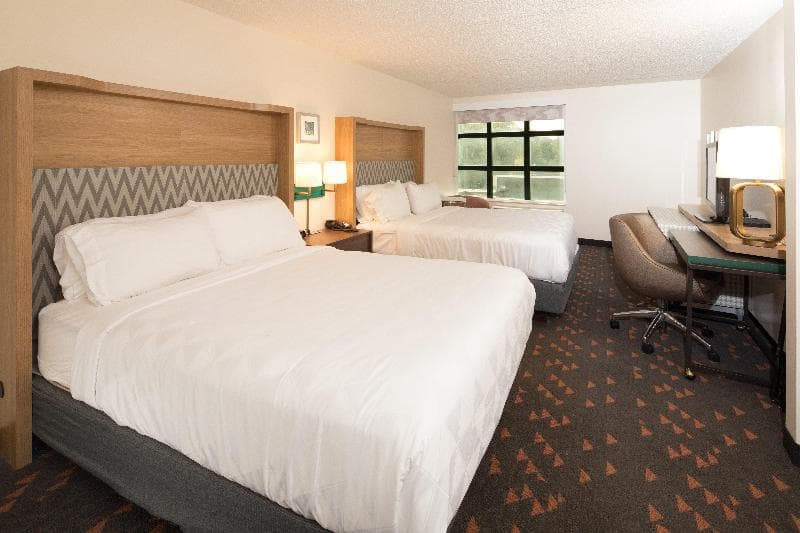 Holiday Inn Hotel And Suites Ann Arbor Univ. Michi 4