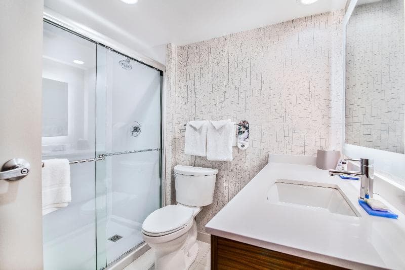 Holiday Inn Express & Suites Langley 5