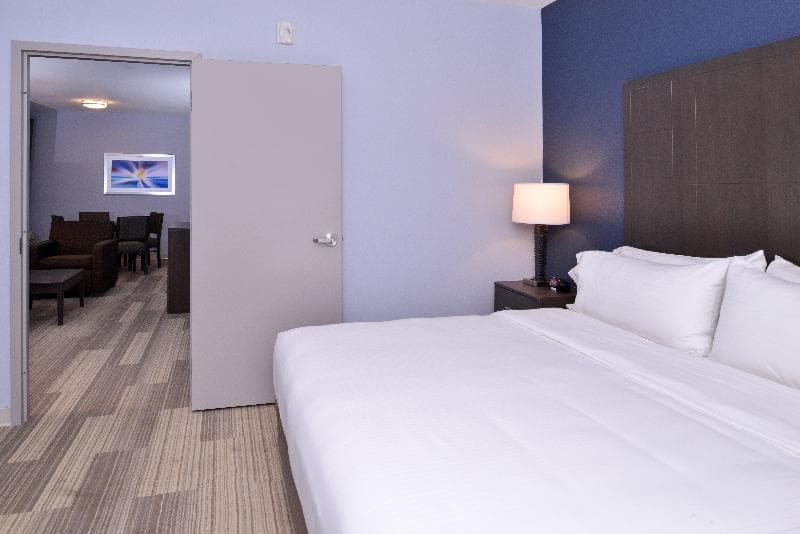 Holiday Inn Express & Suites Loma Linda- San Bernardino S 3