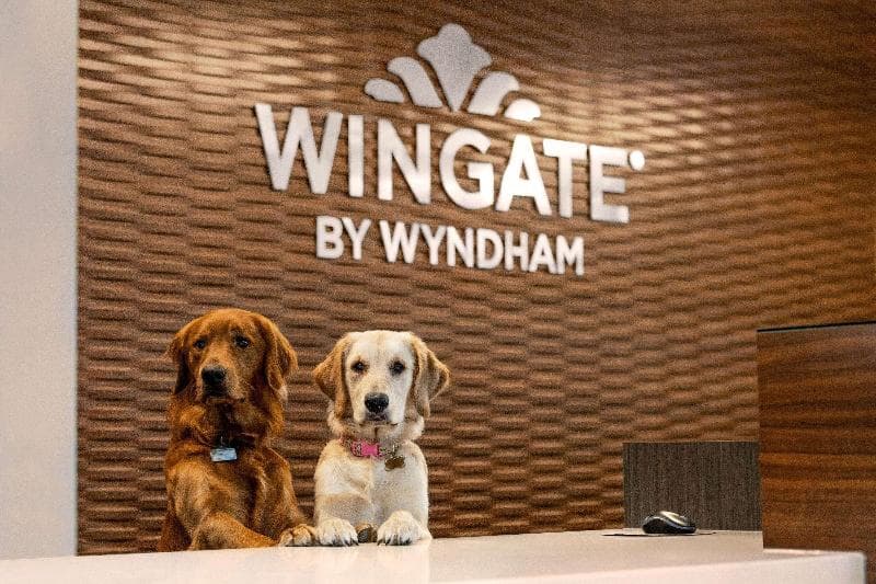 Wingate by Wyndham Lethbridge 4