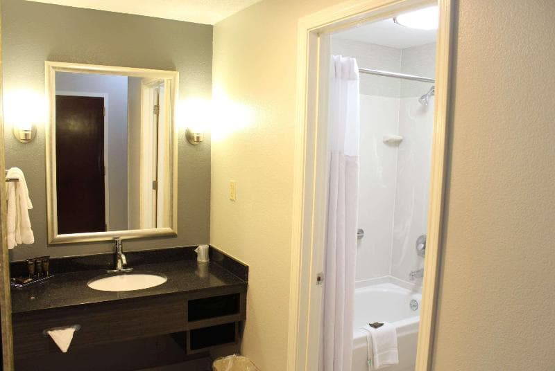 Wingate By Wyndham Savannah I-95 North 4