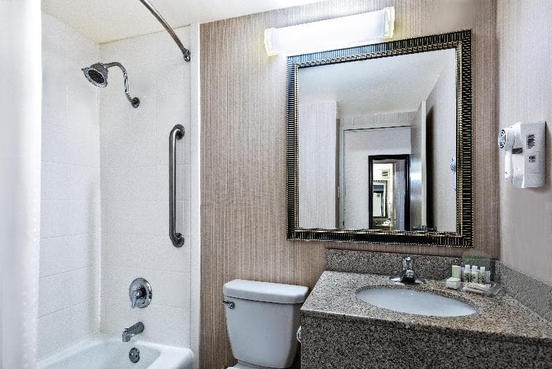 Holiday Inn Dallas Dfw Airport Area West 5