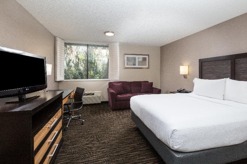 Holiday Inn Dublin-Pleasanton 4