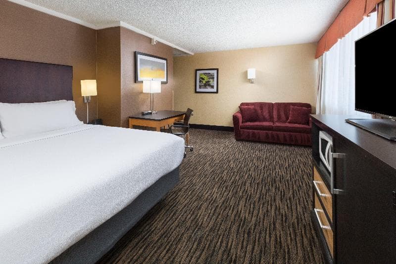 Holiday Inn Dublin-Pleasanton 3
