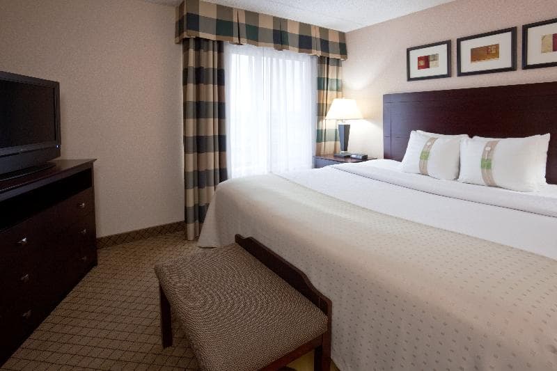 Holiday Inn Hotel And Suites Wausau-Rothschild 5