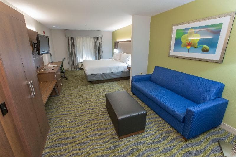 Holiday Inn Express And Suites Mcdonough 4
