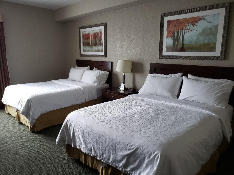 Holiday Inn Express Dryden 4