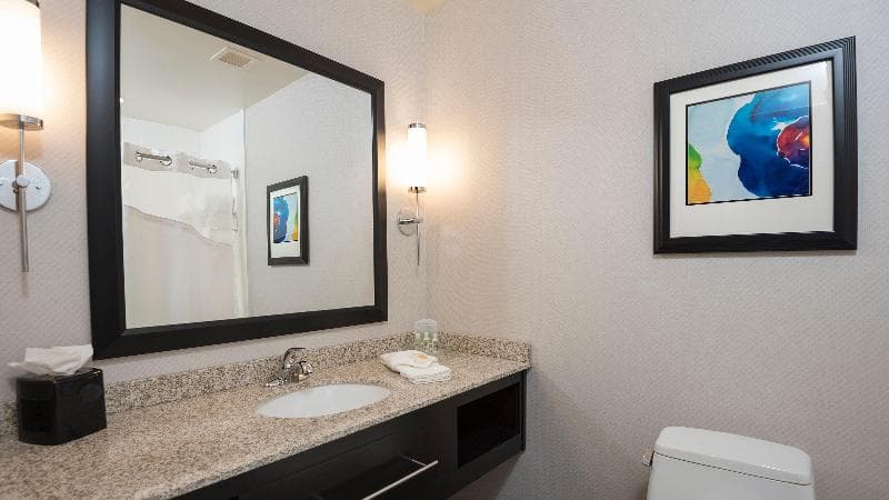 Holiday Inn Indianapolis Airport 5