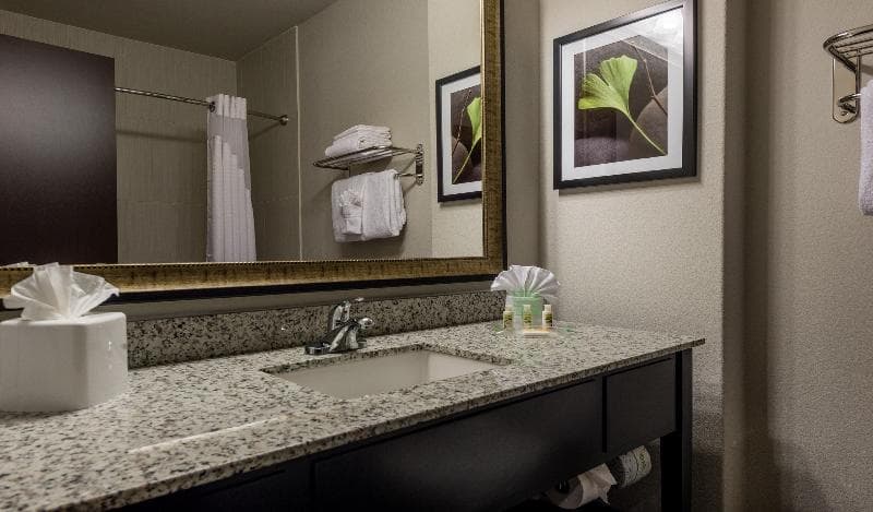 Holiday Inn Austin Airport 3