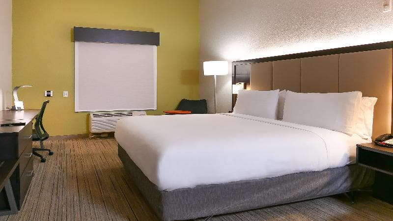 Holiday Inn Express & Suites St. Petersburg North (I-275) 3