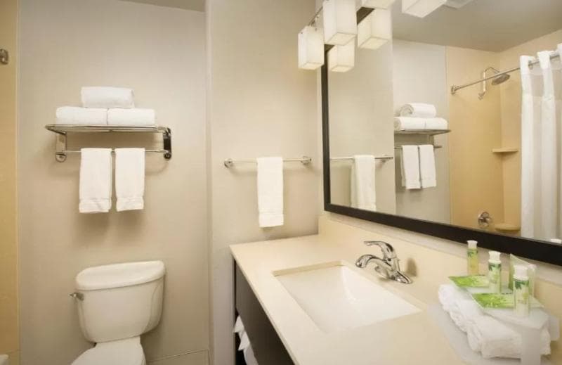 Holiday Inn Express & Suites DFW Airport - Grapevine 5