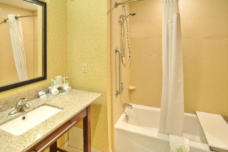 Holiday Inn Express And Suites Frankenmuth 5
