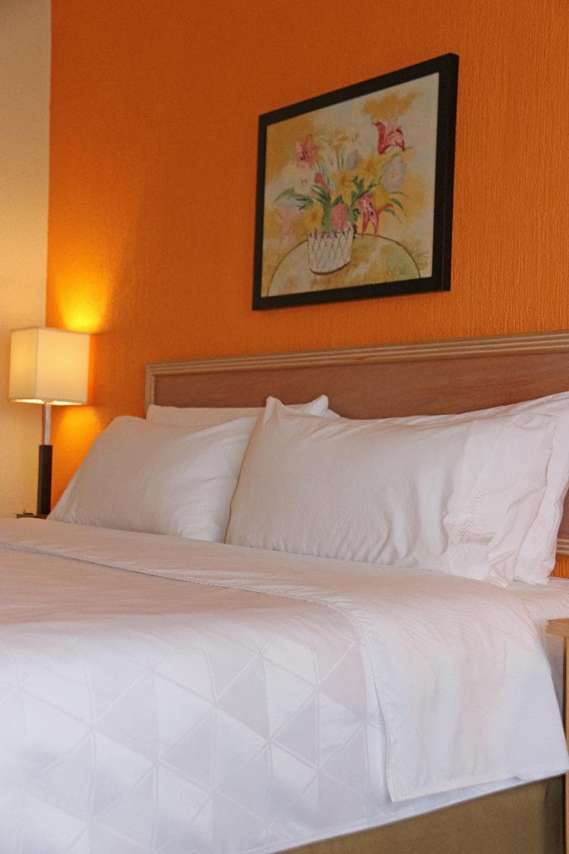 Holiday Inn La Piedad 3