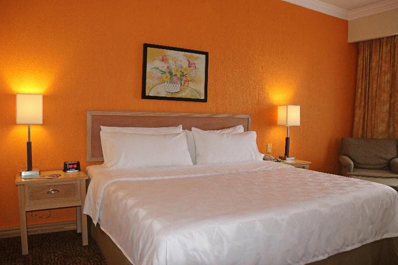 Holiday Inn La Piedad 5