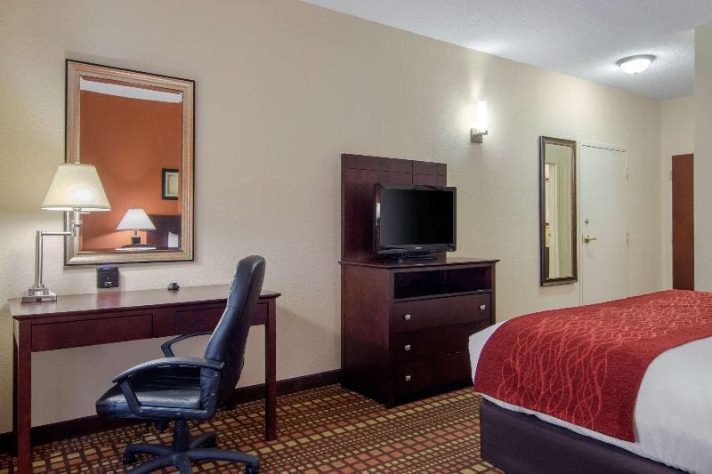 Comfort Inn & Suites 5