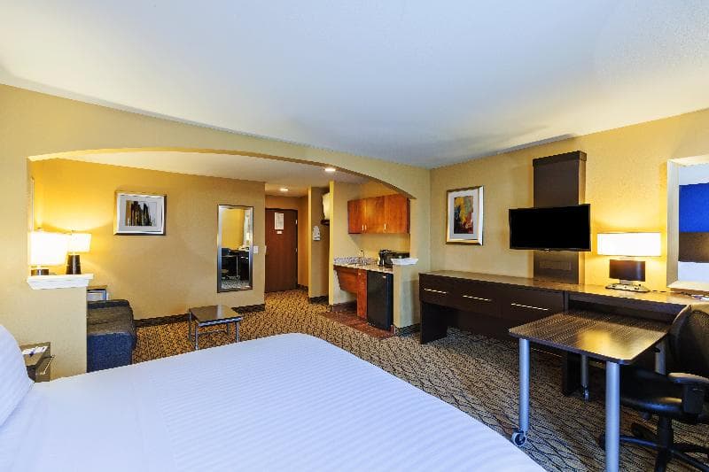 Holiday Inn Express And Suites Houston Dwtn Conv C photo 1