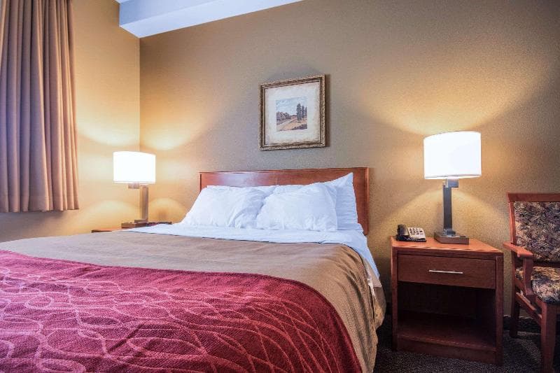 Comfort Inn & Suites 4