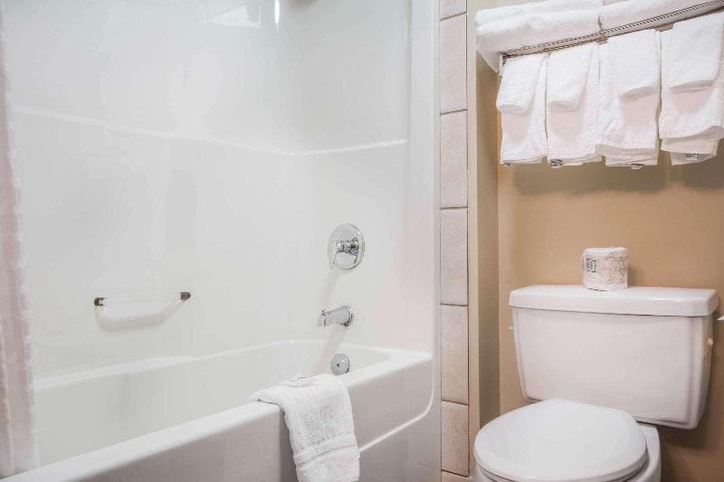 Comfort Inn & Suites 5