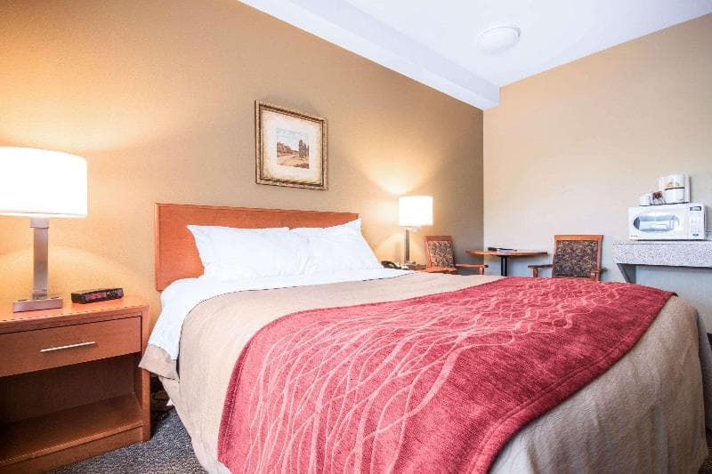 Comfort Inn & Suites photo 1