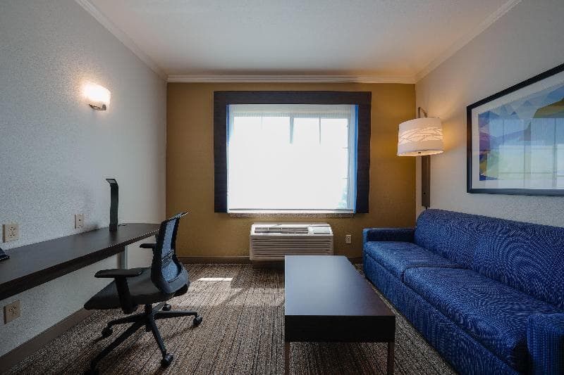 Holiday Inn Express & Suites Santa Clara - Silicon Valley 4