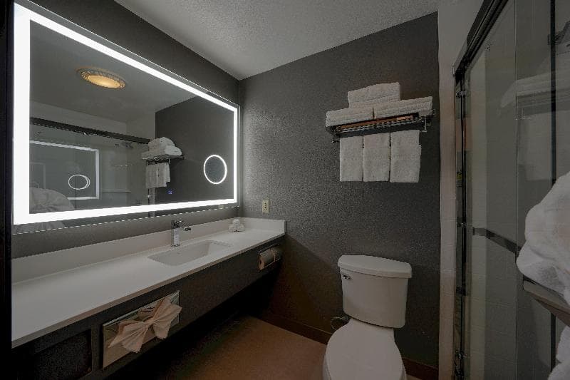 Holiday Inn Express & Suites Santa Clara - Silicon Valley 3