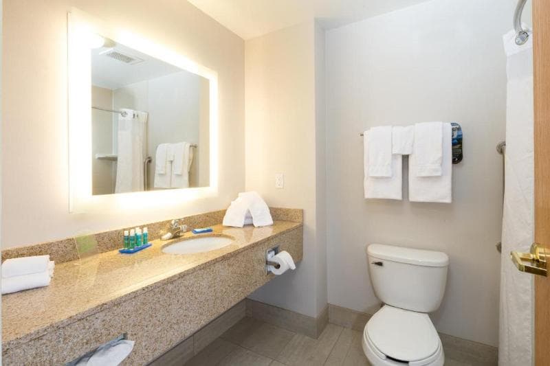 Holiday Inn Express And Suites Detroit - Utica 4