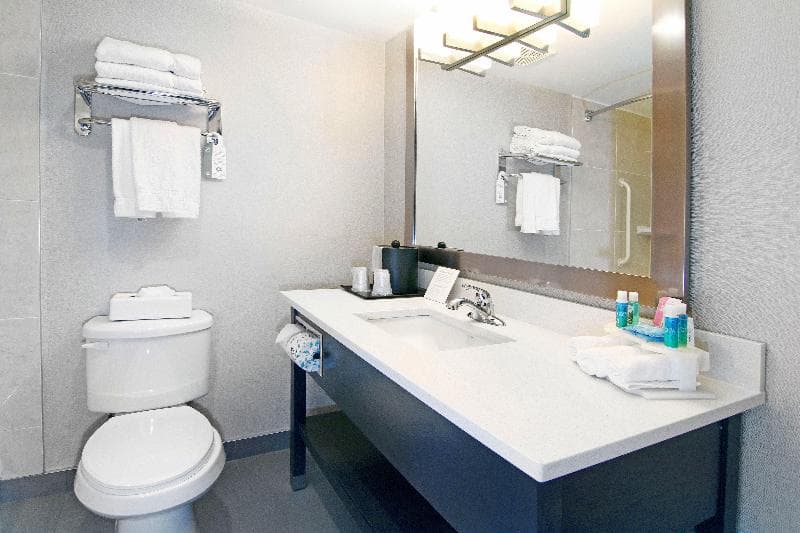 Holiday Inn Express & Suites Calgary 5