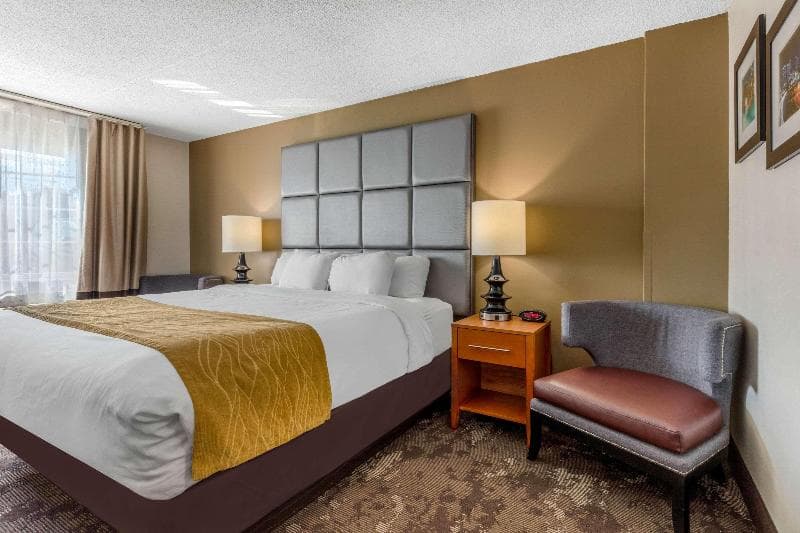 Comfort Inn & Suites Nashville-Antioch photo 1
