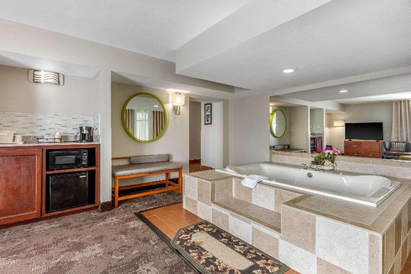 Comfort Inn & Suites Nashville-Antioch 3