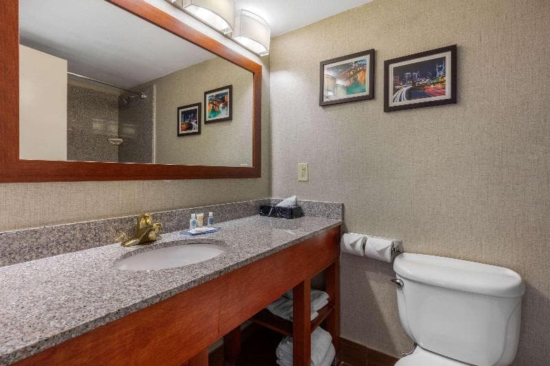 Comfort Inn & Suites Nashville-Antioch 5