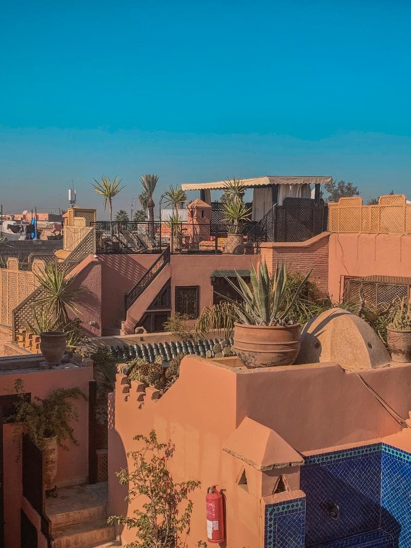 Riad Ghali 5