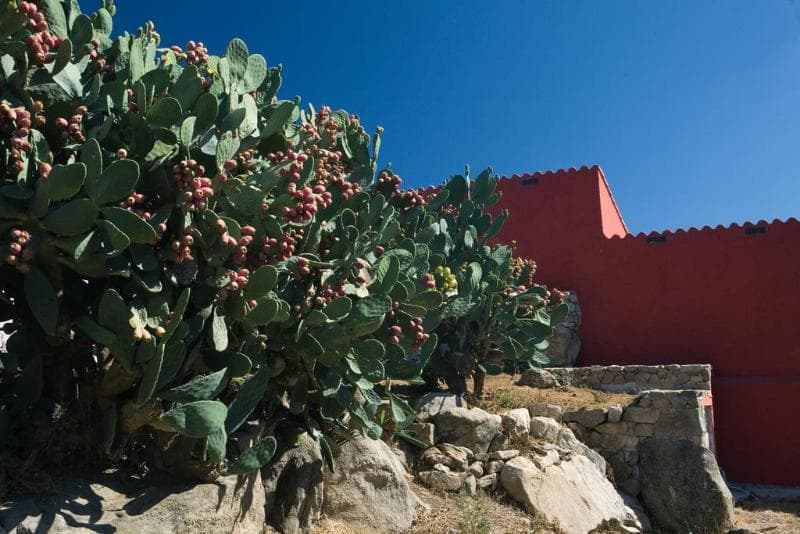 Liscia Country Relais 3