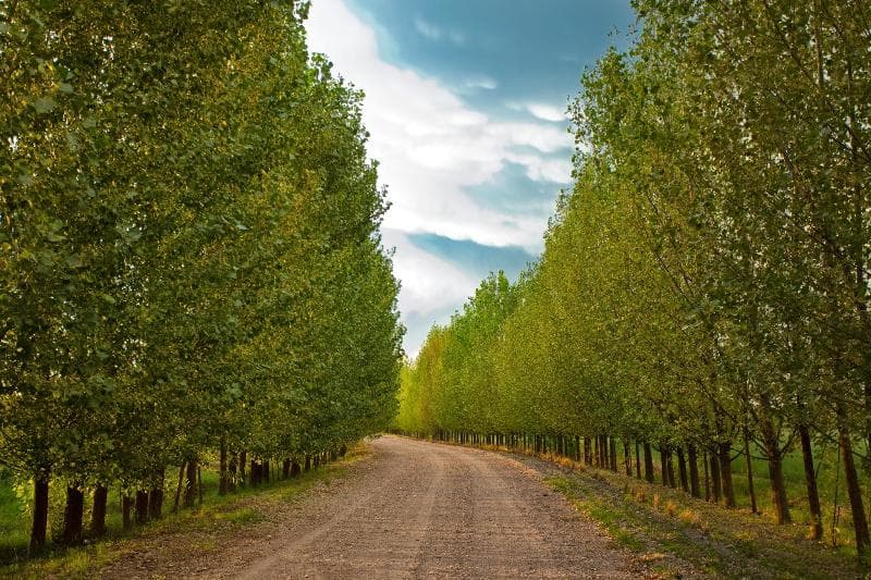 Algodon Wine Estates Resort photo 1