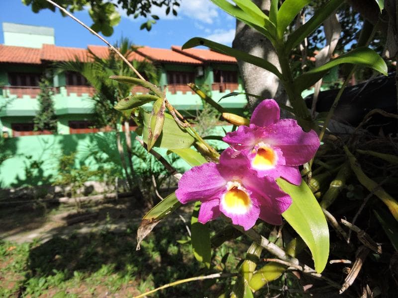 Residencial Castelo Da Ilha 1