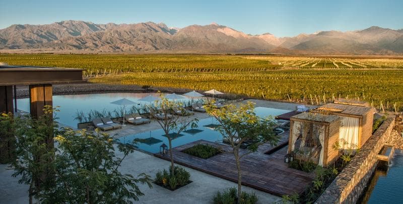 The Vine Resort & Spa photo 1