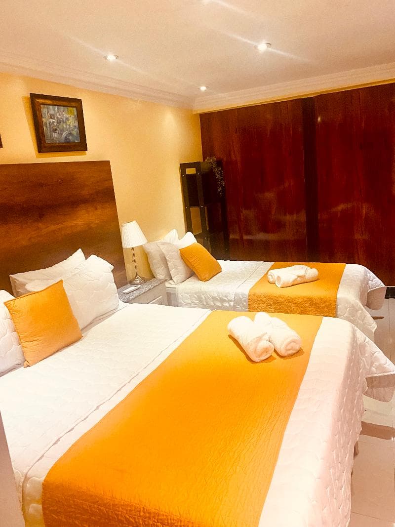 Rig Hotel Boutique Puerto Malecón 2