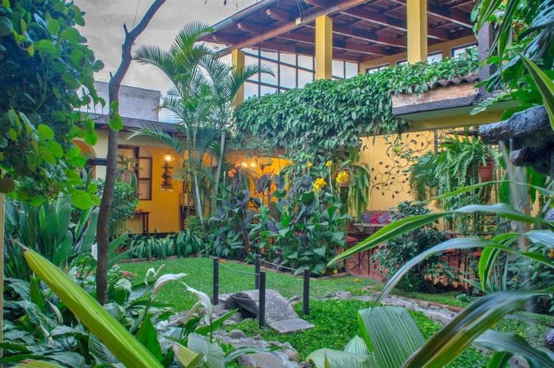 Hotel Las Camelias Inn 2