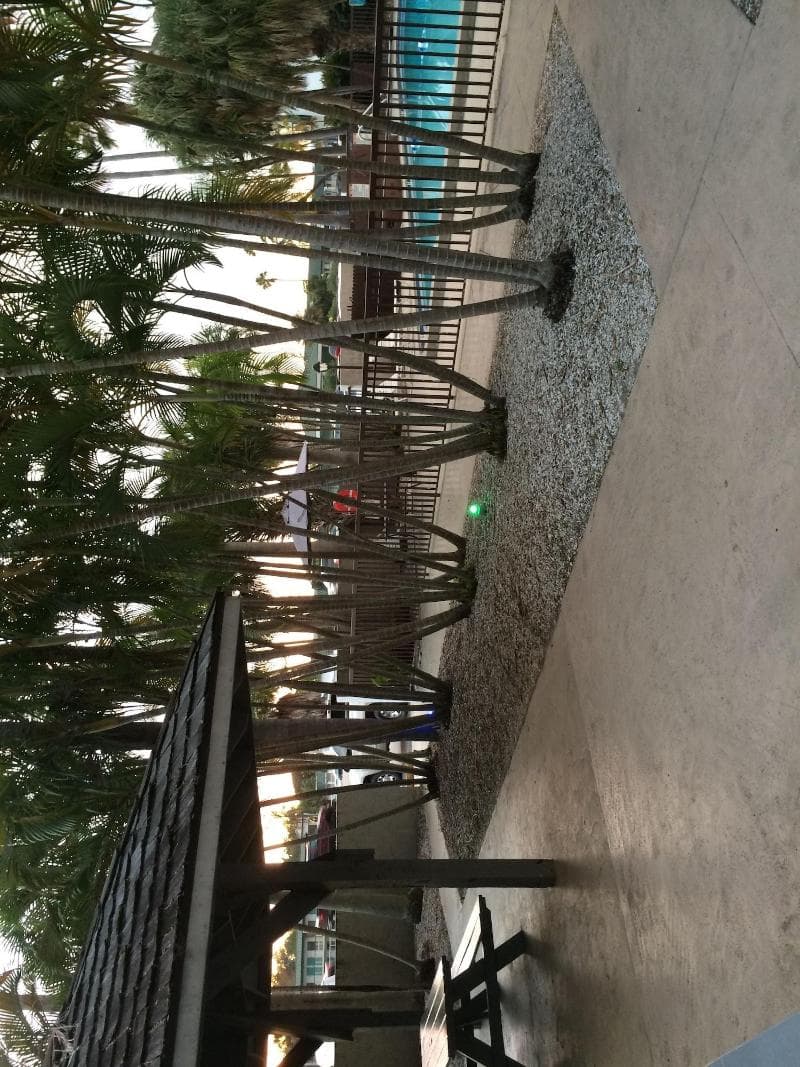 Lantern Inn Suites photo 1