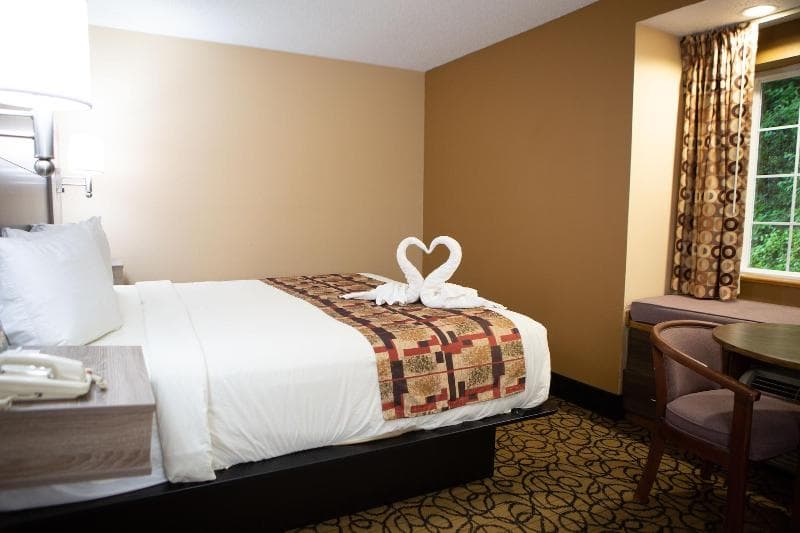Guesthouse International Inn 4