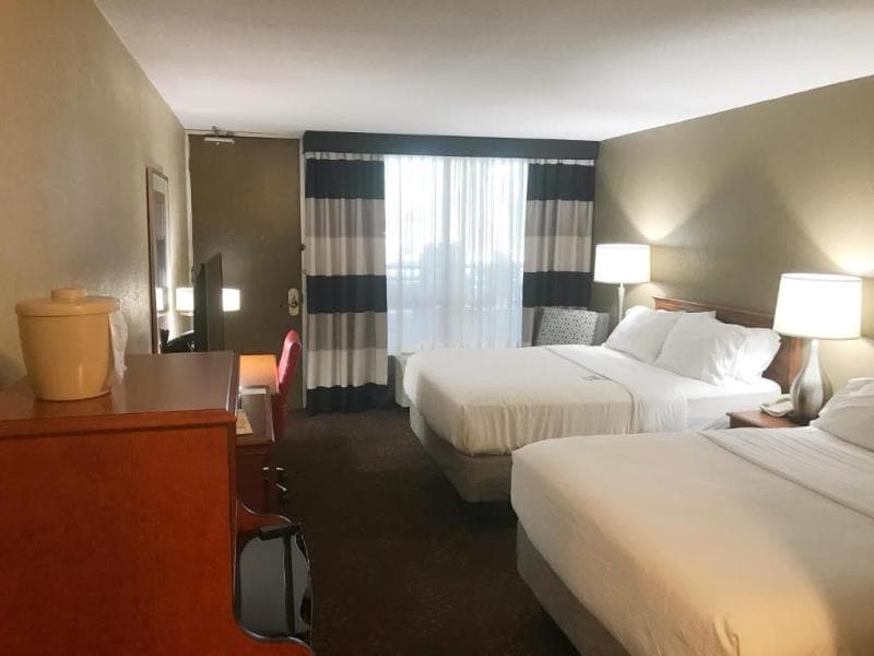 Holiday Inn Alexandria 5