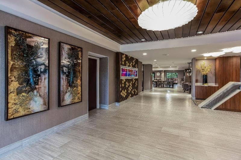 Springhill Suites Austin Northwest/The Domain Area 5
