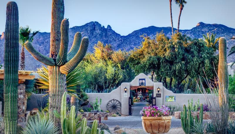 Hacienda Del Sol Guest Ranch Resort photo 1