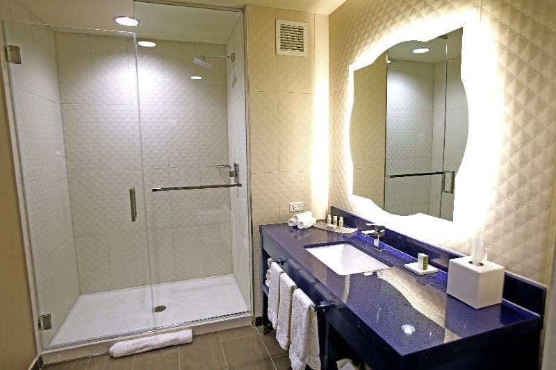 Hotel Indigo Naperville Riverwalk 5