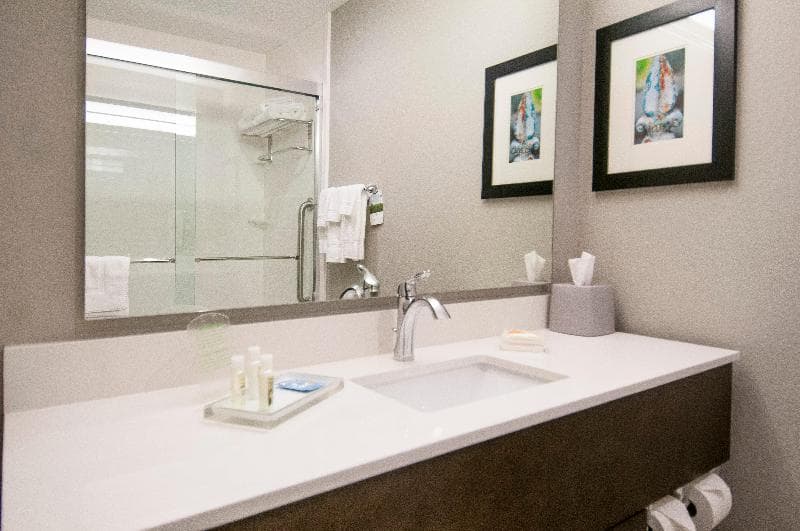 Holiday Inn New Orleans Airport North 4