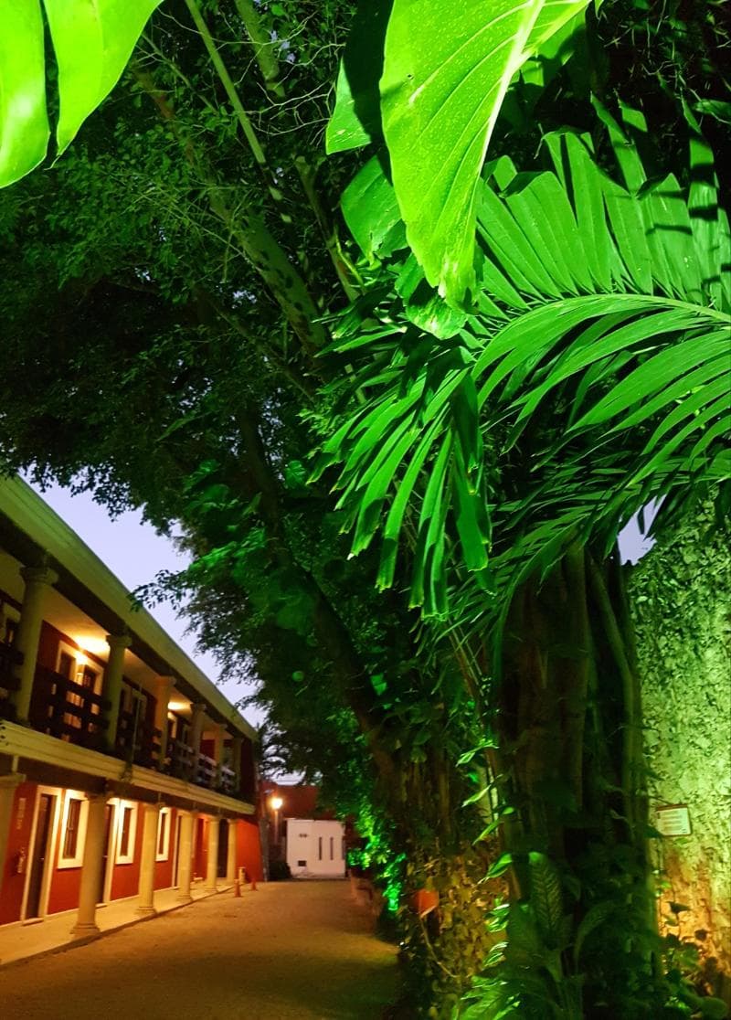 Hotel Holly 5