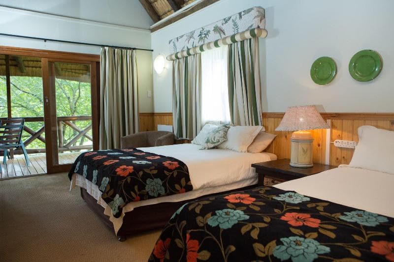 Anew Resort Ingeli Forest Kokstad 5