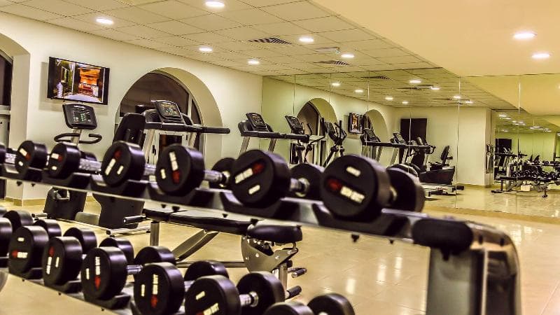 Olive Tree Hotel photo 1