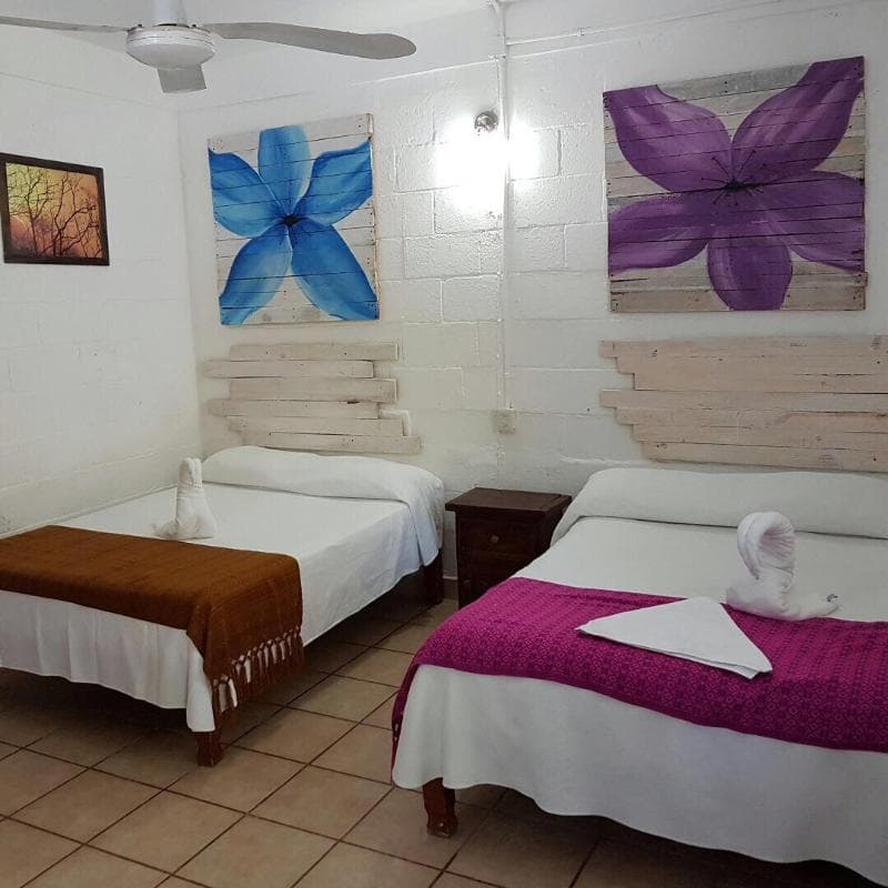 Hotel Posada Amor 5